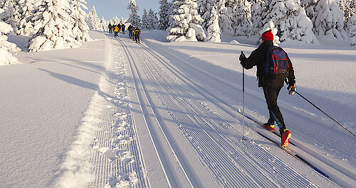 Langlauf in Mitterdorf Bayerischer Wald